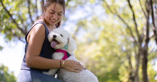 dog and owner hugging