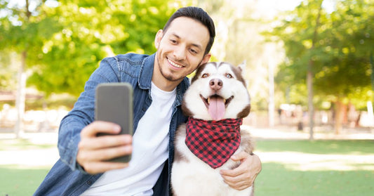 Male dog owner taking a selfie with his beautiful dog