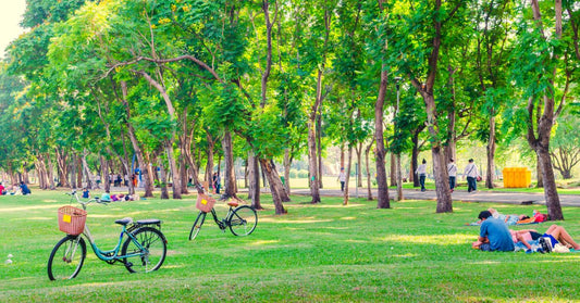 Park with Green grass