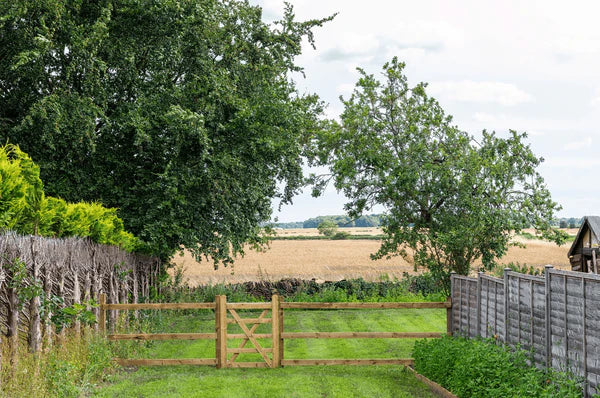 Red Kite and Jack's Cottage for Group Retreats