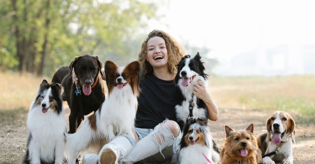 female owner resting with dogs in nature